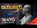 WAYO Live Savendaree සැවැන්දරී