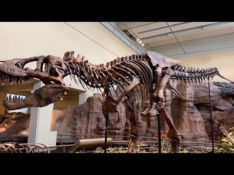 Carnegie Museum of Natural History