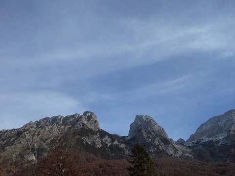 Vlera e diturisë dhe dijetarëve - Imam.Mr.Arber Berisha #live