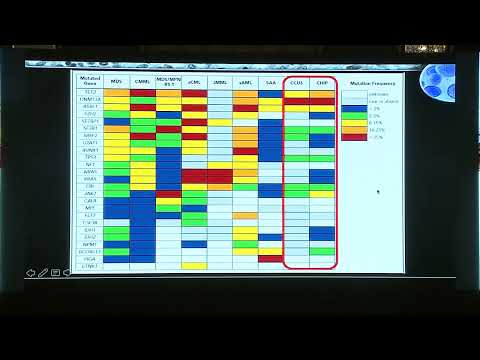 Clonal hematopoiesis: Silence before Hurricane - Hanan Hamed (EG) - 11-12 Feb2022