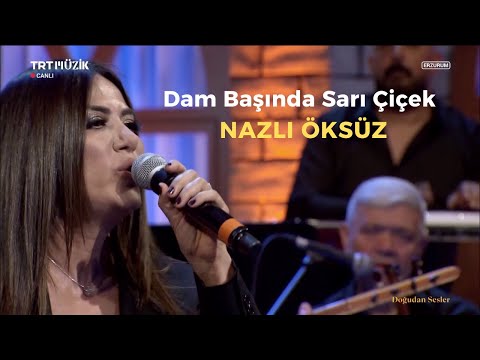 Video Yükleniyor...