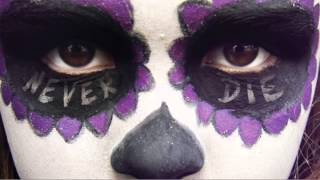 Blitz Kids - Never Die (audio teaser)