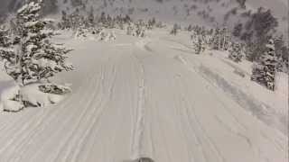 Bois de L'Ours Meadows  Tracey Thorn