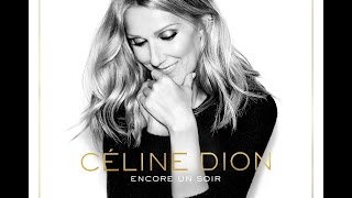 Céline Dion - Le bonheur en face - Paroles/Lyrics