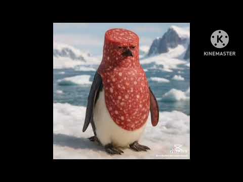 salamino pingüino 🗣️🔥