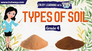 Soil | Types of Soil | Soil Components | Properties of Soil | Science