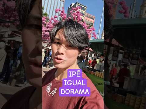 Um IPÊ florido igual DORAMA 🫰🏻🌳🌸