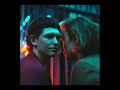 Surf Curse - Cronenberg