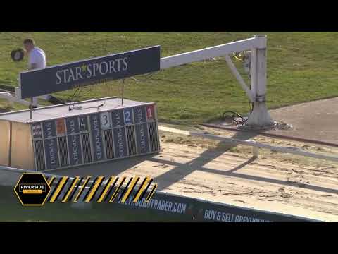 Romeo Magico - The Star Sports & TRC English Greyhound Derby 2022 -  Quarter Final