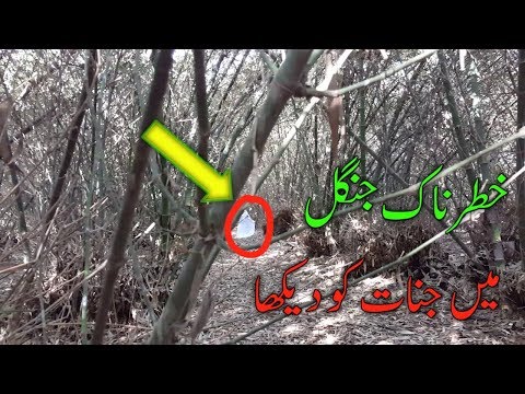 Jinnat Ki basti With Rao Shamas Ali Episode#86 Team Per Jinnat Ka Hamla khatarnak Jungle Part 2