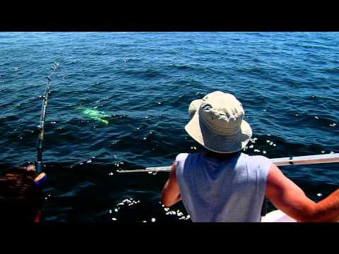 Giant Bluefin Tuna - July 2, 2011