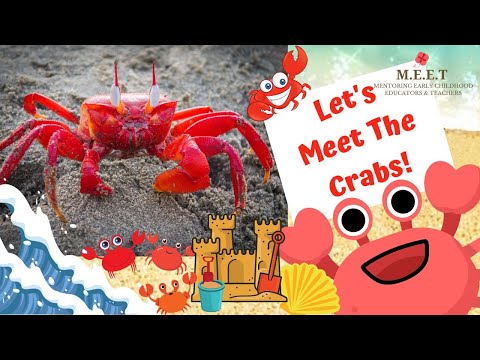 Let's Learn About Crabs! | preschool learning videos 4 kids (types of crabs) (crab walk)