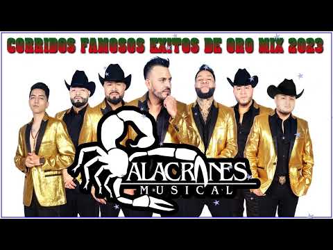 Alacranes Musical Mix Puro Exitos Romanticas Amor || Alacranes Musical Sus Mejor Canciones
