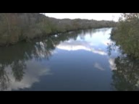 Scientists seek cause of freshwater mussel die-off