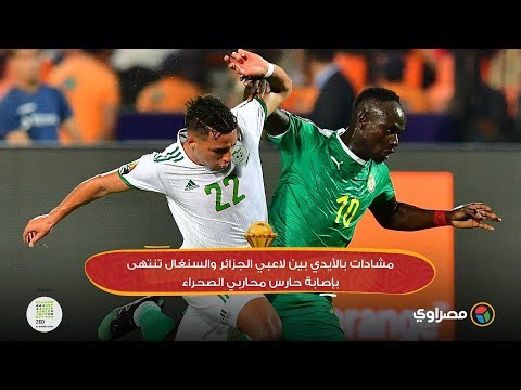 مشادات بالأيدي بين لاعبي الجزائر والسنغال تنتهى بإصابة حارس محاربي الصحراء