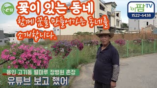 용인시 꽃이 있는 마을을 만드는 고기동 촌장님과 마을 주민들! 함께 만들어가는 동네! 웃음이 꽃피는 동네! …