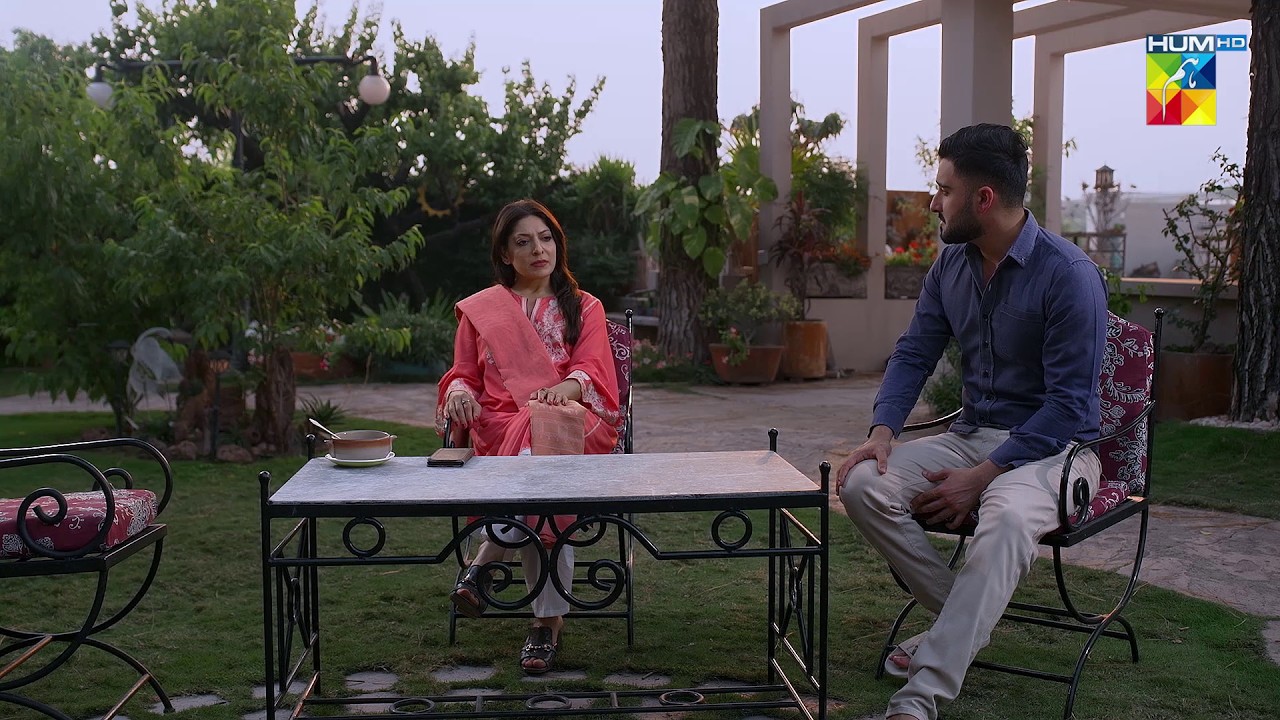Apne Dil Mein Se Shanzay Ke Khilaf Nafrat Nikal Dein.! ft. Nabeel Zuberi & Minsa Malik Hadd - HUM TV