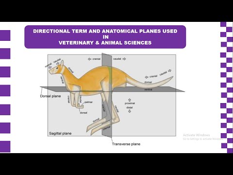 Directional Terms and  Anatomical Planes used in Veterinary and Animal Sciences