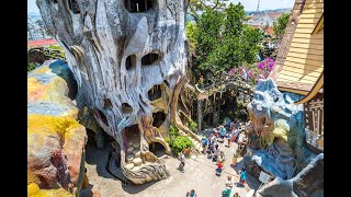 12 Things To Do in Dalat #shorts #travel