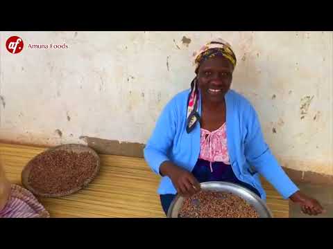 Preparing Dried Beans For Cooking At Ugandan Homestead | African Village Morning Routine