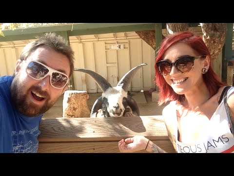 TDW 1219 - Crazy Animals At The Orange County Zoo