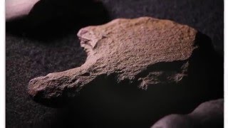 Video thumbnail for Petroglyph Walkthrough with Jan Hoeglund by Soundiron