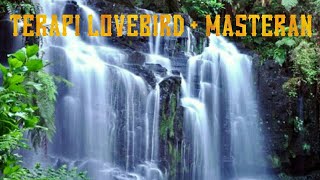 Download lagu RAHASIA TERAPI LOVEBIRD BIAR KONSLET mp3