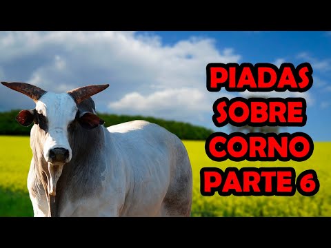 PIADAS SOBRE CORNO PARTE 6 - HUMORISTA THIAGO DIAS