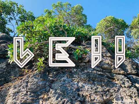 TIMBER G-LANMOU SA SE POU OU [WILZ CHILL KOMPA] 2020