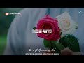 12 Rabi Ul Awwal WhatsApp Status Rabi Ul Awwal Status Nabi Ka Youm E Wiladat Tariq Masood