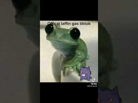 The Laffin gas official tiktok (just search Laffin gas69