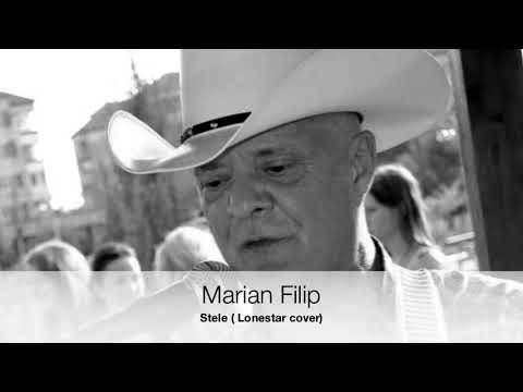 Marian Filip - Stele ( cover of Lonestar by Alexander Lee )