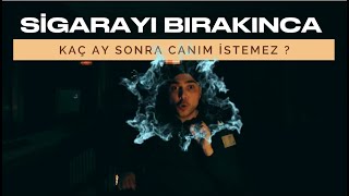 Sigara Bırakmak İsteyenler İçin Gerçekçi Bir Rehber ! Kaç Ay Sonra Canım Artık S