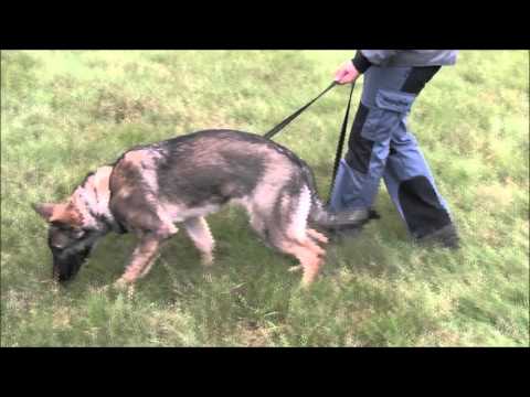 Jagira Aykmar - 6 moonths