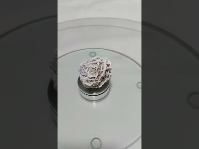 Vídeo relacionado con Rosa del desierto, la