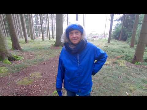 Zwiegespräch 1112 (117 - 2021): Hexenring, Sauerklee, ...