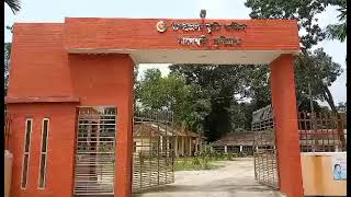 উপজেলা ভূমি অফিস, নাগেশ্বরী এর দৃশ্য