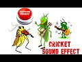 Awkward Silence Cricket Sound - Gaming Sound Effect - Cricket Sound Effect