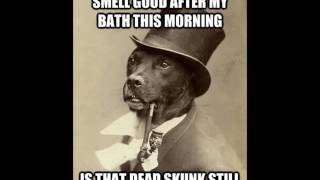 Loudon Wainwright III *  DEAD SKUNK    1972    HQ