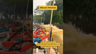 Download lagu Pompa Air Niagara 6 inch Mesin Kubota 8,5 Hp untuk irigasi massal #petani#viralvideo #viralshorts mp3