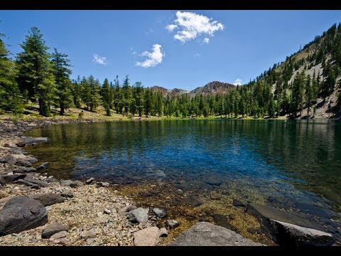 Bigfoot Reports: The Spectrum