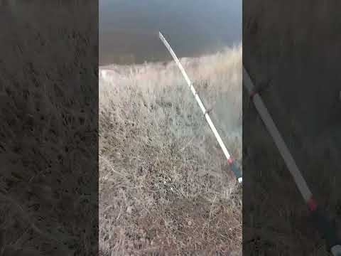 pesca en paso cuello Uruguay #pescaycocina