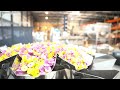 Video afspelen