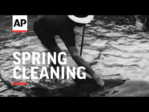 Spring Cleaning for Sharks - 1964 | The Archivist Presents | #299