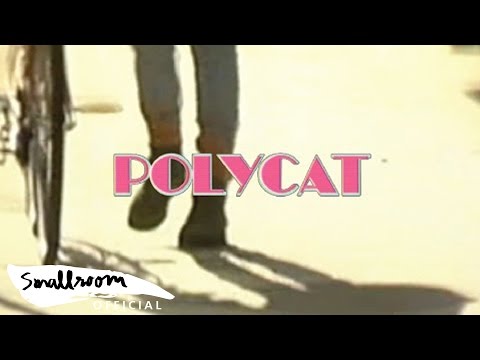 POLYCAT - Chapter 1 เพื่อนไม่จริง | Forever Mate [Official MV]