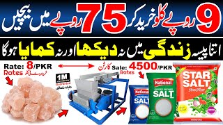 Salt Making Factory, High Turnover Business Ideas, Salt Crushing Packing and manufacturing business