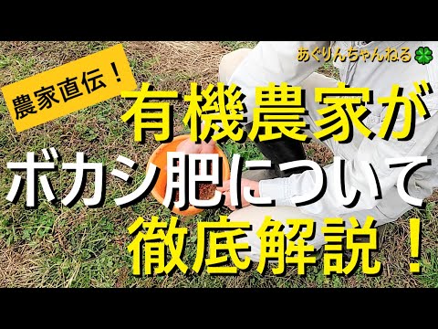 つくし肥料の使い方は？メリットは何ですか?いつ、どこに置くのですか？  庭園