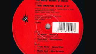 NILES ARRINGTON MANY MOODS OF BLACK MUCHO SOUL E.P  SMACK 1995