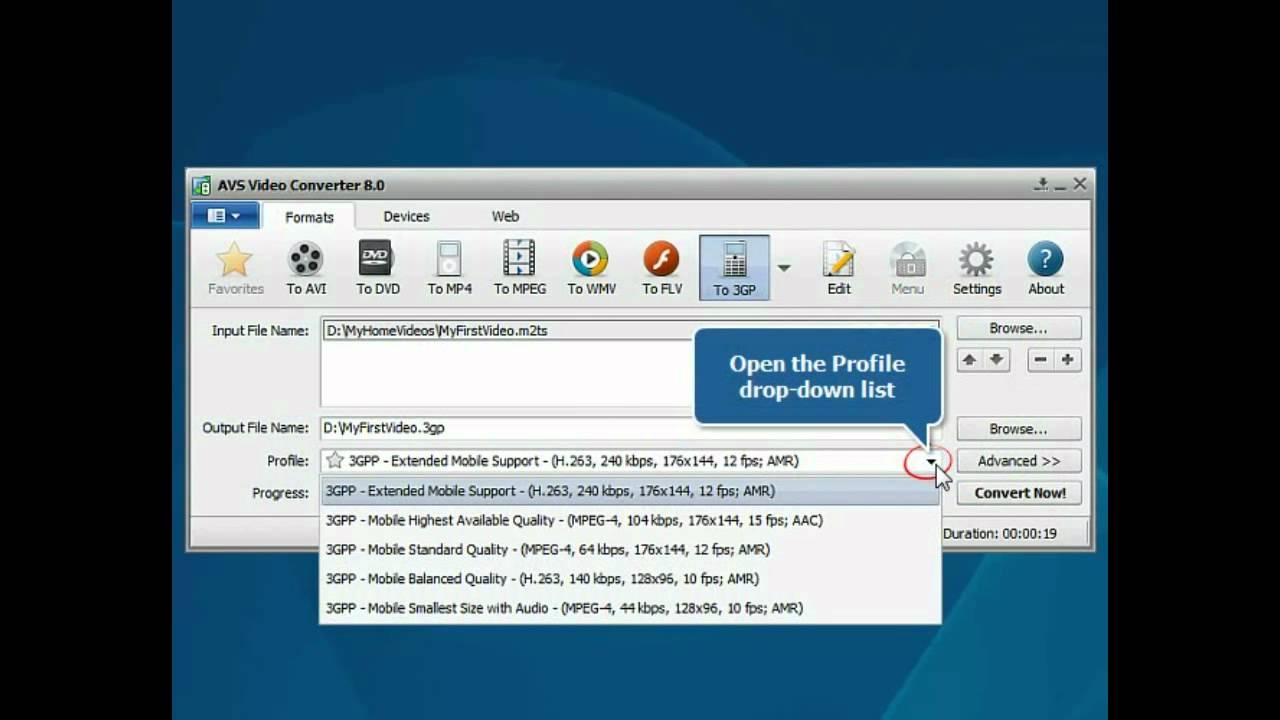 How to convert MTS files using AVS Video Converter?