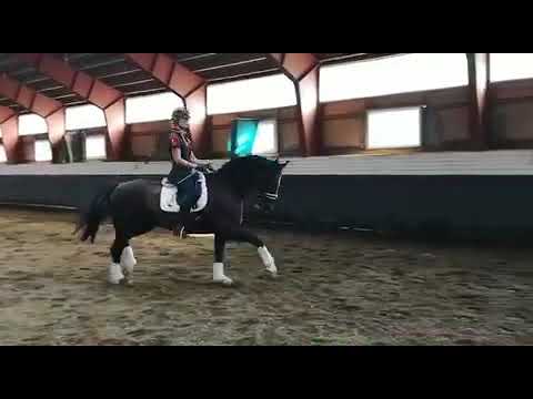 BA317292 23AF 4BB5 9AC6 5A45FA072449